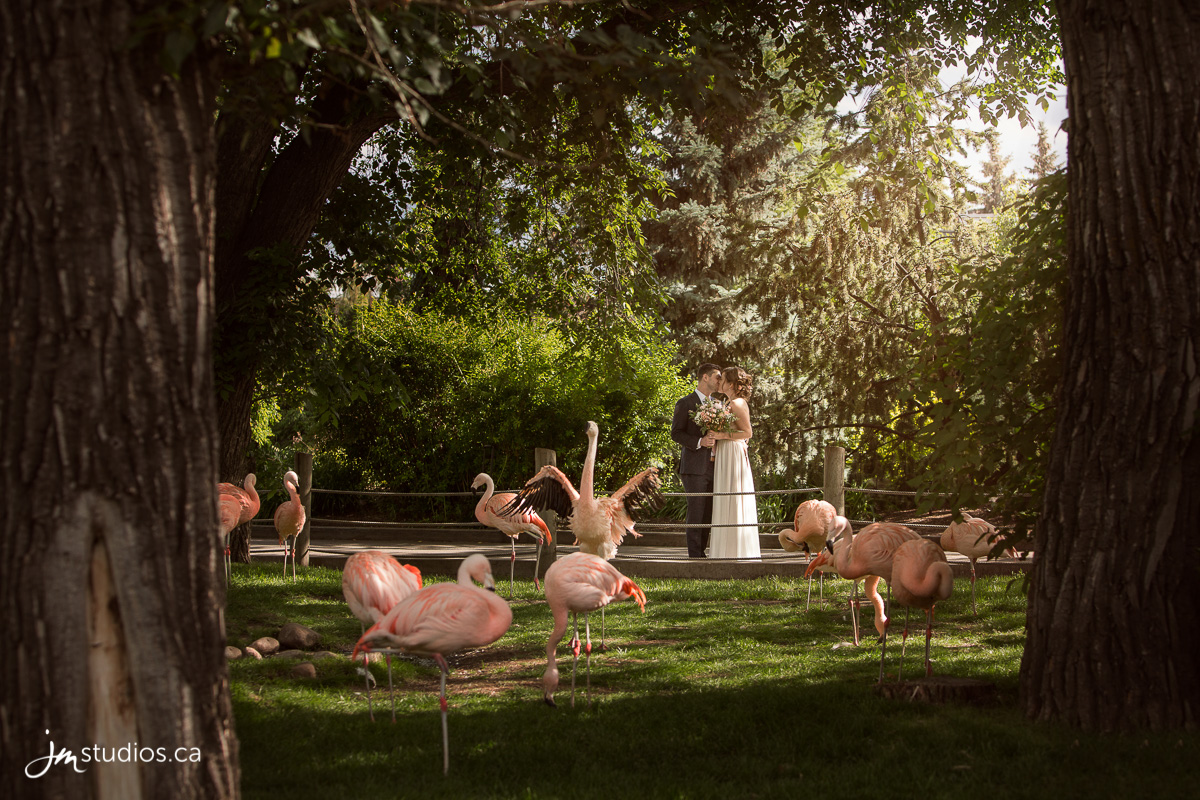 180630_4675-Calgary-Zoo-Wedding-Photos-Photographer-JM_Photography